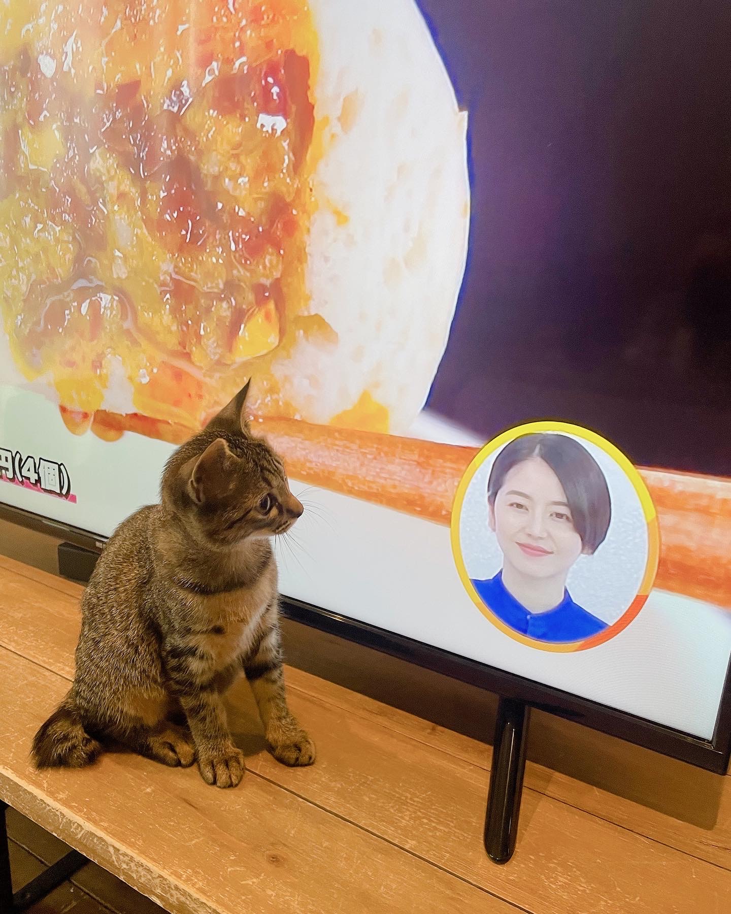 我が家のにゃんこ(*^^*)